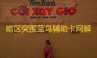 暗区突围蓝鸟辅助卡网解析
：功能、用法与风险全知道